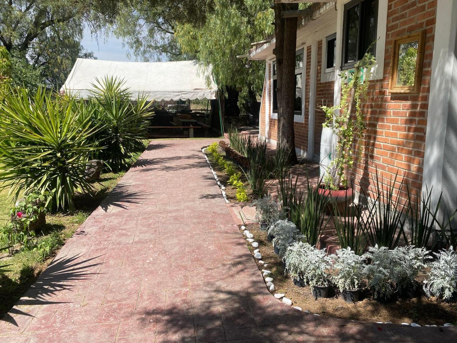 Telpochcalli & Temazcal Hotel 3*
